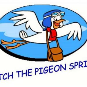 Catch the Pigeon Sprint @ Clay Pigeon Raceway